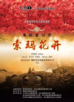 索玛花开 poszter