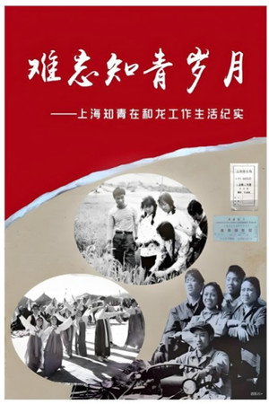 凤凰大视野 poszter