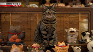 A Cat's-Eye View of Japan 1. évad Ep.17 17. epizód