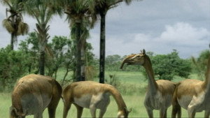 Walking with Beasts kép