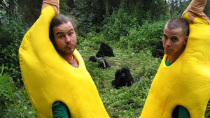 Wildboyz kép