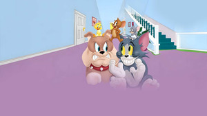 A Tom és Jerry-show kép