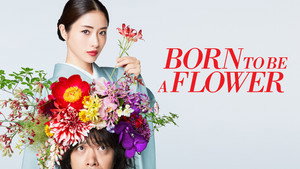 高嶺の花 kép