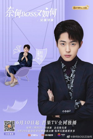 奈何BOSS又如何 poszter