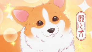 殿と犬 kép