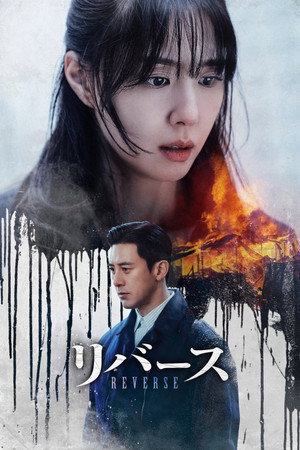 리버스 poszter