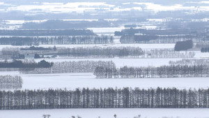 Wild Hokkaido! 3. évad Ep.7 7. epizód