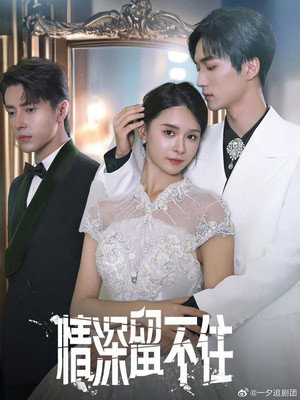 情深留不住