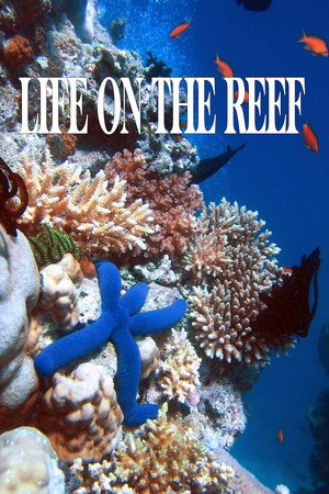 Life on the Reef 1. évad (2015-03-01) poszter