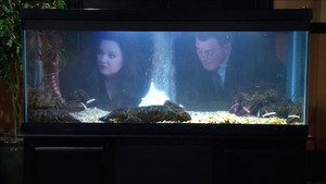 Mike és Molly 5. évad Ep.21 21. epizód