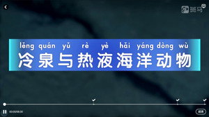 斑马百科 5. évad Ep.8 8. epizód