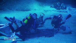 Nausicaá : Dans les coulisses du plus grand aquarium d'Europe 1. évad Ep.2 2. epizód