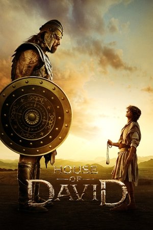 Dávid háza poszter