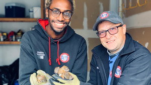 Louis et la faune urbaine kép