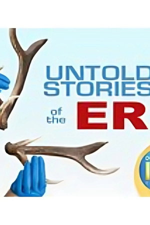 Untold Stories of the ER 11. évad (2014-11-14) poszter