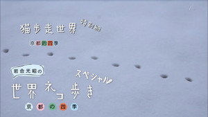 岩合光昭の世界ネコ歩き Speciális epizódok Ep.8 8. epizód