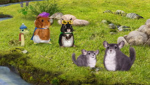 Wonder Pets: In the City 1. évad Ep.11 11. epizód