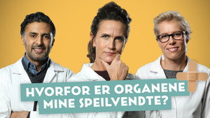 Hva feiler det deg? 5. évad Ep.2 2. epizód