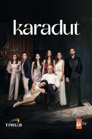 Karadut poszter