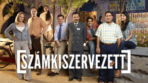 Számkiszervezett kép