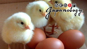 Begin Japanology 4. évad Ep.43 43. epizód
