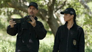 NCIS: Tengerészeti helyszínelők 19. évad Ep.21 Hasonszőrűek