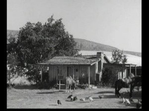 Gunsmoke 8. évad Ep.7 7. epizód