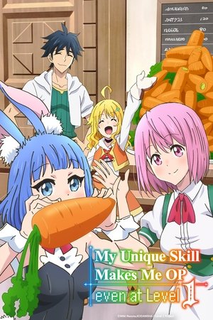 レベル1だけどユニークスキルで最強です poszter