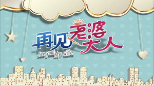 再见老婆大人 kép
