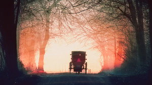 Murder in Amish Country kép