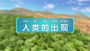 斑马百科 23. évad Ep.1 1. epizód
