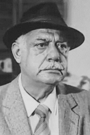 Mümtaz Alpaslan profil kép