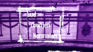 Lud, zbunjen, normalan kép