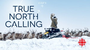 True North Calling kép