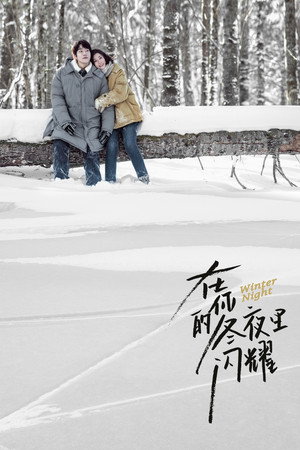 在你的冬夜里闪耀 poszter