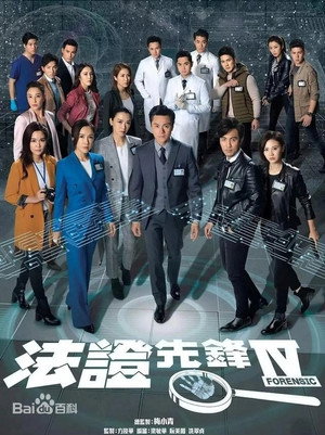法证先锋 poszter