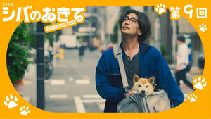 シバのおきて～われら犬バカ編集部～ 1. évad Ep.9 9. epizód