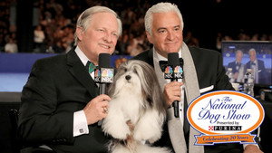 The National Dog Show kép