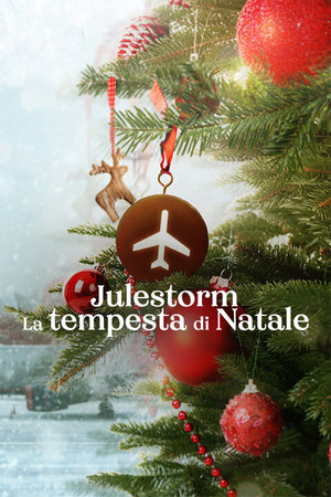 Karácsonyi vihar poszter