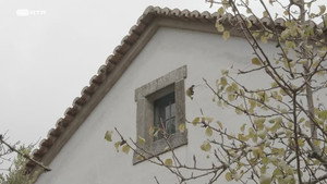 Visita Guiada 10. évad Ep.21 21. epizód