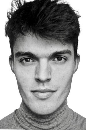 Laurens Raveel