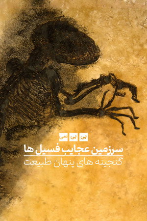 Fossil Wonderlands: Nature's Hidden Treasures poszter