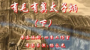 七十二家房客 3. évad Ep.88 88. epizód