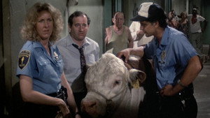 Hill Street Blues 3. évad Ep.2 2. epizód