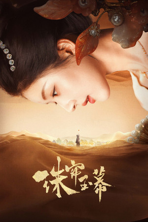 珠帘玉幕 poszter