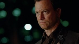 CSI: New York-i helyszínelők 5. évad Ep.5 Élet eladó