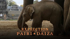 Expédition Pairi Daiza kép