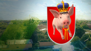 Mangalița kép