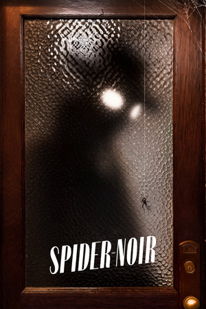 A Pók: Noir poszter
