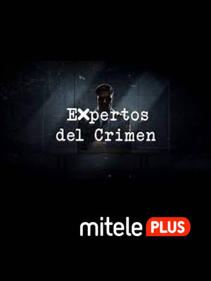 eXpertos del crimen poszter